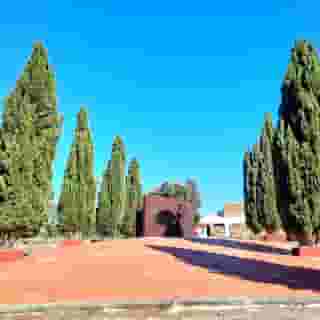Naturarte Rio, 3 of 5