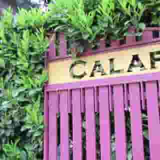 Bella Addormentata E Il Principe Calaf, 4 of 5