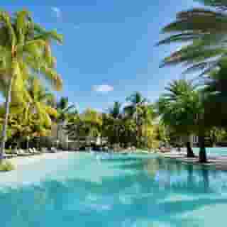 The Ravenala Attitude, 3 of 5