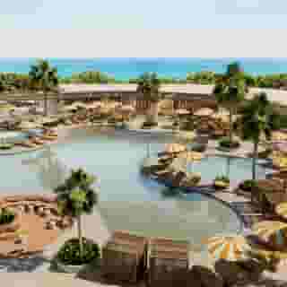 NALU Latchi Leonardo limited edition, 1 of 5