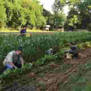 The Hermitage Hotel, 1 of 5