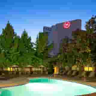 Sheraton Vancouver Airport Hotel, 3 of 5