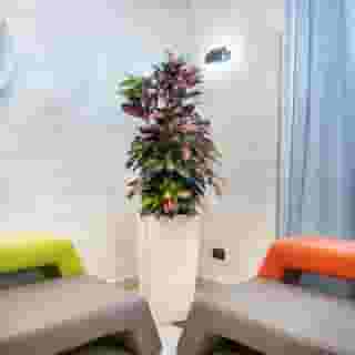 Hotel Europa, 4 of 5