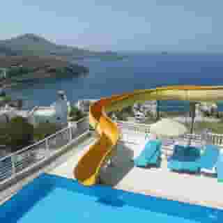 Family Belvedere, 4 of 5