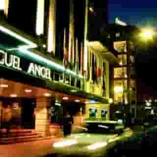 Miguel Angel, 1 of 5