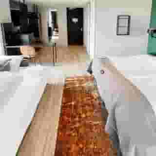 Holiday Inn - the niu, Fender Amsterdam, 4 of 5