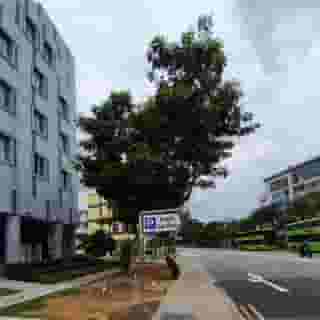 The Quay Hotel West Coast, 4 of 5