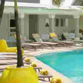 Tropical Attitude - Adults Only, 4 of 5