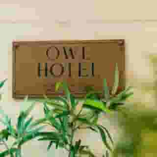 Owl Hotel, 6 of 6