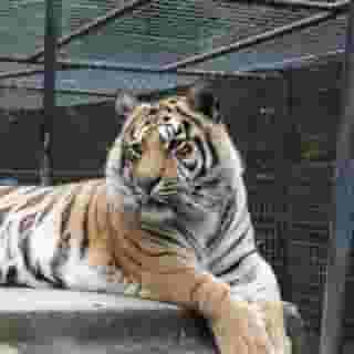 Hilton Garden Inn Atlanta Downtown, 1 of 5