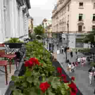 Maison Royale, 5 of 5