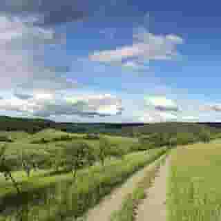 Mullers Landhotel, 2 of 5