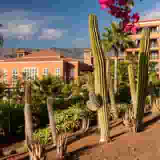 H10 Costa Adeje Palace, 6 of 6