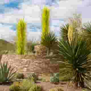 Holiday Inn Express & Suites Phoenix - Airport North, 4 of 5