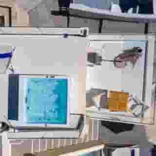 Mythical Blue Luxury Suites, 2 of 5