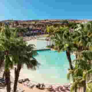 Tabaiba Princess, 2 of 5