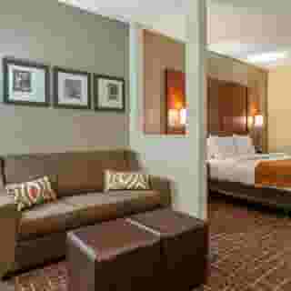 Comfort Suites Nw Dallas Near Love Field, 6 of 6