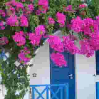 Margarenia Studios, 1 of 5