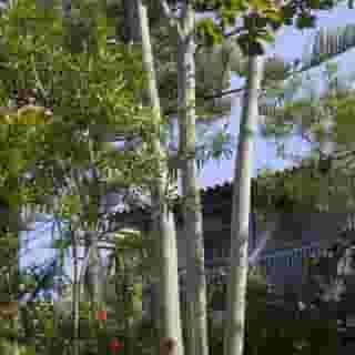 Elpida Village Hotel, 6 of 6