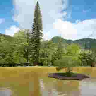 Terra Nostra Garden Hotel, 2 of 5