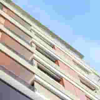 Flamant Rose, 2 of 5