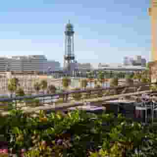 Duquesa de Cardona, 5 of 5