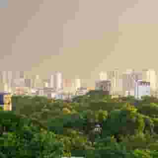 Flower Garden Hotel, 3 of 5