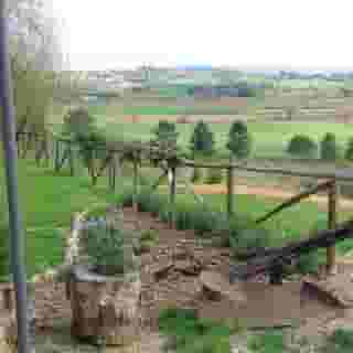 I Palazzi San Lorenzo a Linari, 1 of 5