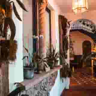 Orchid House Polanco, 3 of 5