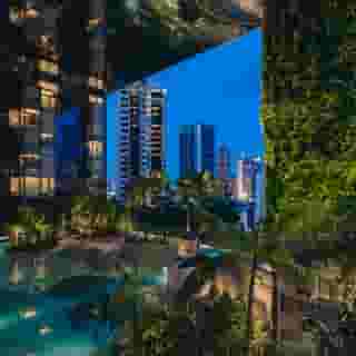 Pan Pacific Orchard, 5 of 5