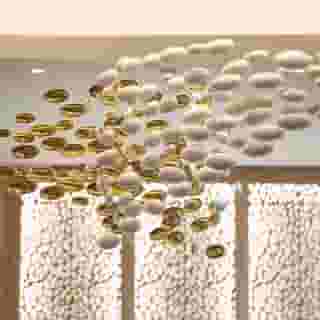 The Westin Istanbul Nisantasi, 5 of 5