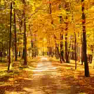 Dwor Sierakow, 1 of 5