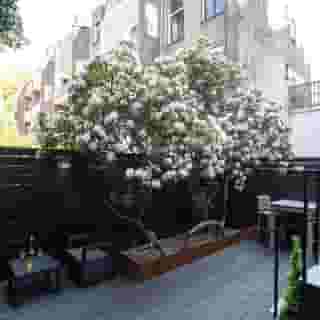 De Ware Jacob Boutique Hotel, 4 of 5