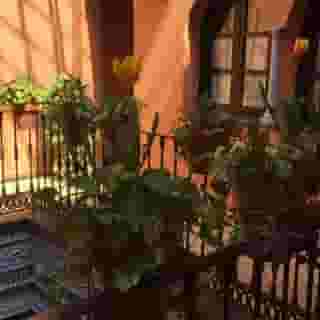 Patio de la Alameda, 4 of 5