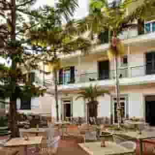 Flame Tree Madeira, 3 of 5