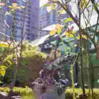 Rosedale On Robson Suites Hotel, 1 of 5