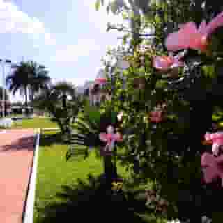 Casena Dei Colli, Sure Hotel Collection by Best Western, 5 of 5