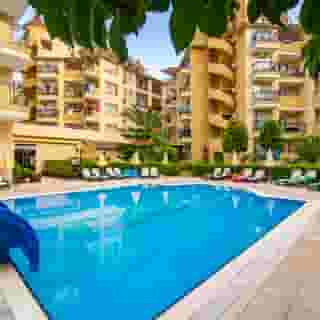 Kleopatra Royal Palm, 5 of 5