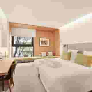 Protur Naisa Palma, 2 of 5