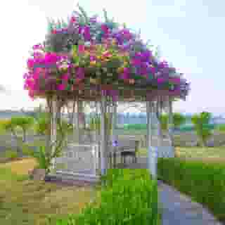 Jolie Ville resort & Spa Kings Island, Luxor, 3 of 5