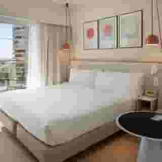 Sol Principe, 4 of 5