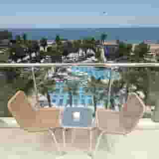 Trendy Palm Beach, 2 of 5