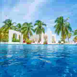 Grand Oasis Palm, 1 of 5