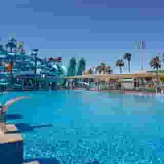 Nirvana Cosmopolitan, 4 of 5