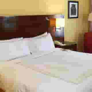 St. Petersburg Marriott Clearwater, 3 of 5