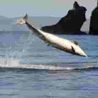 Dingle Skellig Hotel Peninsula Spa, 5 of 5