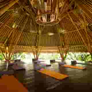 Blue Karma Dijiwa Ubud, 3 of 5