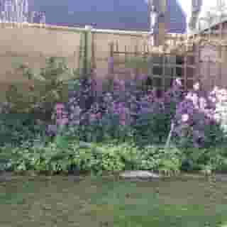 Chambre Du Jardin Fleuri, 2 of 5