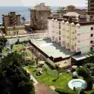 Monarque Cendrillon, 3 of 5