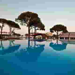 Paloma Sensia, 5 of 5